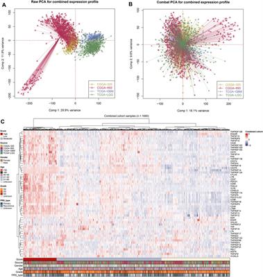 The role of costimulatory molecules in glioma biology and immune microenvironment